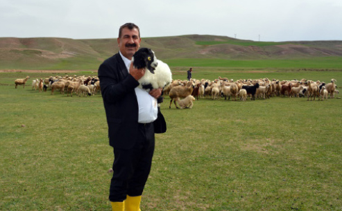 Türkiye Damızlık Koyun Keçi Yetiştiricileri Merkez Birliği (TÜDKİYEB) Genel Başkanı