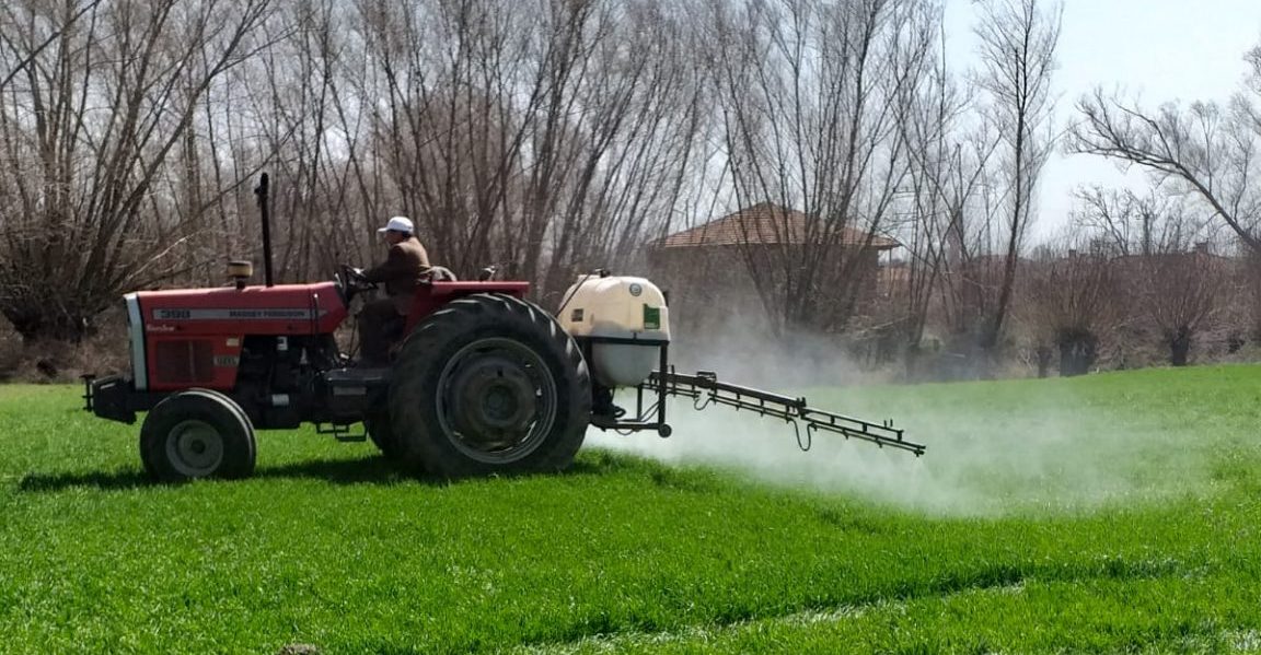Türkiye’nin önemli tarım bölgelerinden biri olan Yozgat’ta çiftçilerin hububat alanlarında,