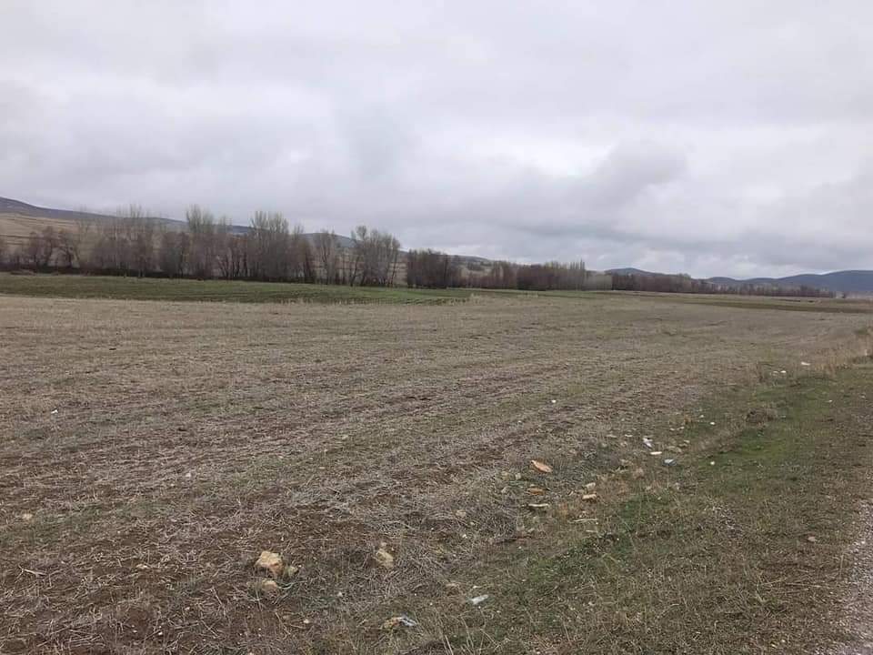 AK Parti Yozgat Milletvekili ve Seçim İşleri Başkan Yardımcısı Yusuf