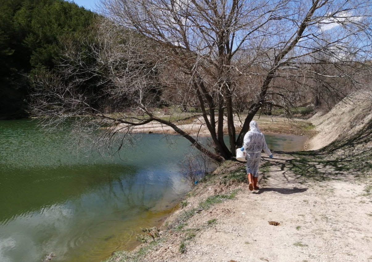 Yozgat Belediyesi Veteriner İşleri Müdürlüğü ekipleri, yaz aylarında oluşabilecek karasineğin