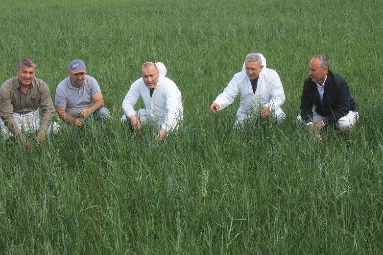 İl Tarım ve Orman Müdürü Tanju Özkaya, Tarım Müdürlüğü ekiplerinin