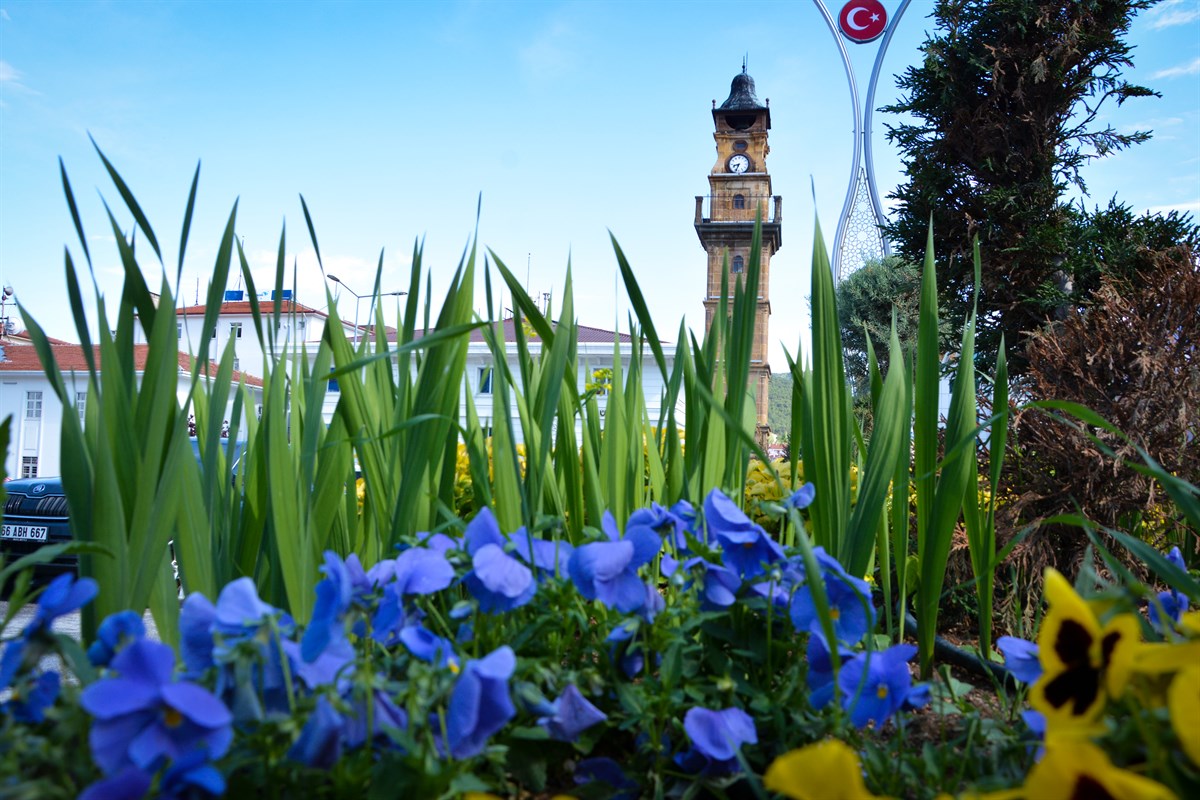 Ülkemizin nüfusu, 2021 senesinde 1 milyon 65 bin 911 kişi