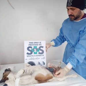 Sorgun Can Dostları ve Çevre Koruma Derneği Başkanı Ayşe Alan