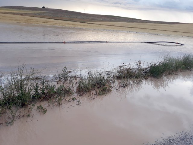 Sel, ekili tarım alanlarına zarar verdi