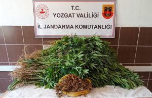 Yozgat İl Jandarma Komutanlığı ekipleri, Sarıkaya ilçesinde A.S., isimli şüphelinin