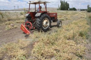 Yozgat İl Tarım ve Orman Müdürlüğü tarafından ilde  ilk defa