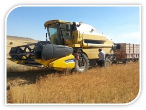 Yozgat Tarım ve Orman İl Müdürlüğü ekipleri Yozgat il genelinde