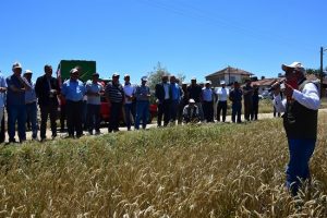 Yozgat Tarım ve Orman Müdürlüğünce uygulanan Yerli Buğday – Nohut