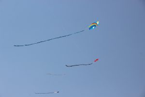 Yozgat Belediyesi tarafından 21. Sürmeli Festivali kapsamında uçurtma şenliği düzenlendi.
