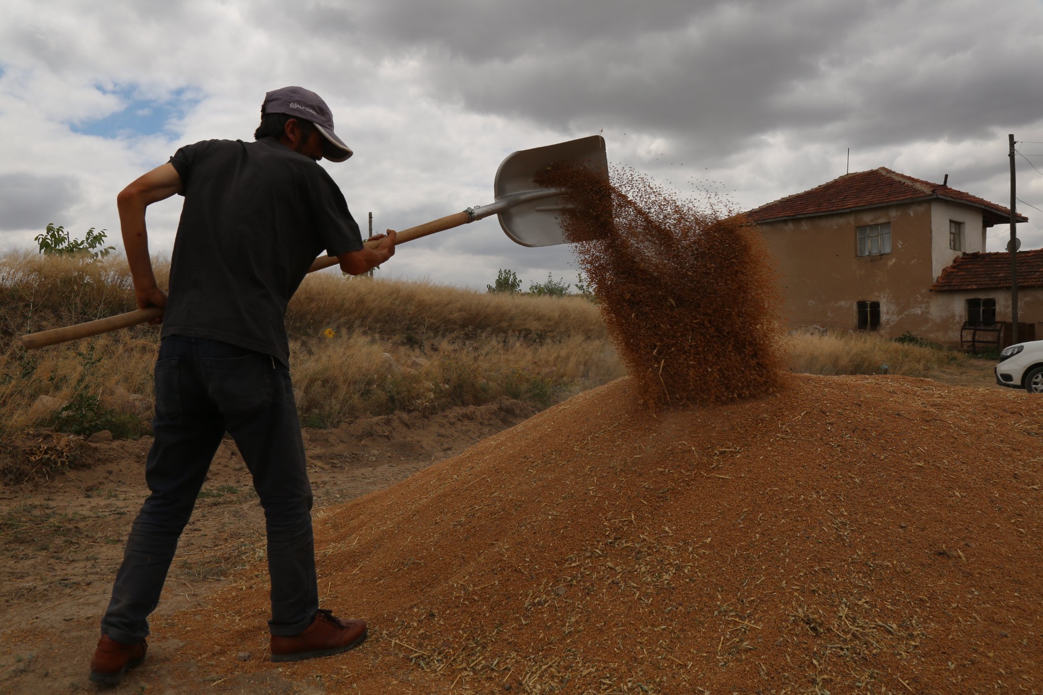 Toprak Mahsulleri Ofisi (TMO) 1 Eylül 2022 tarihine kadar TMO’ya