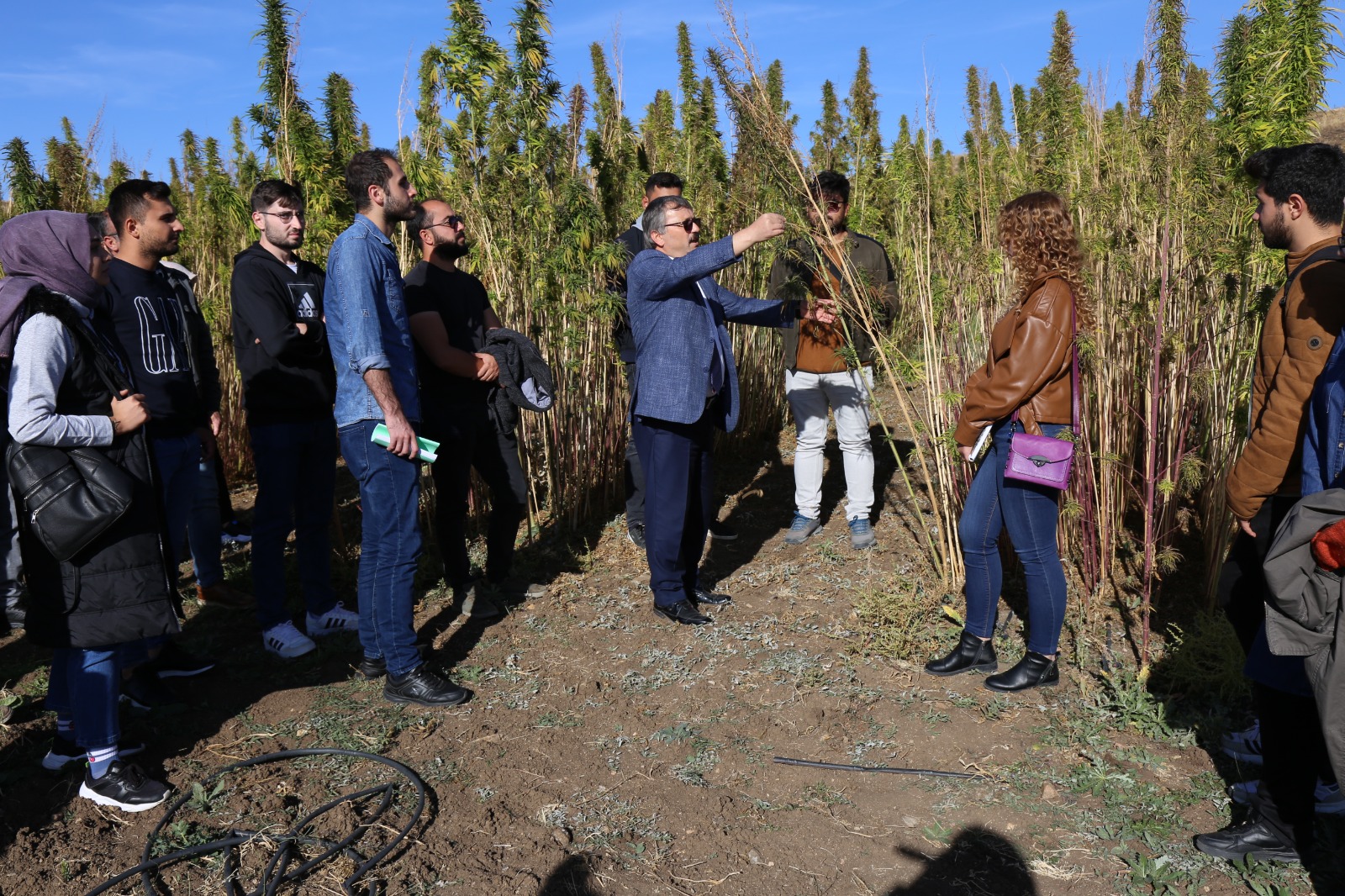 Yozgat Bozok Üniversitesi tarafından kenevirin bütün biyokütlesinin ekonomiye kazandırılması amacıyla