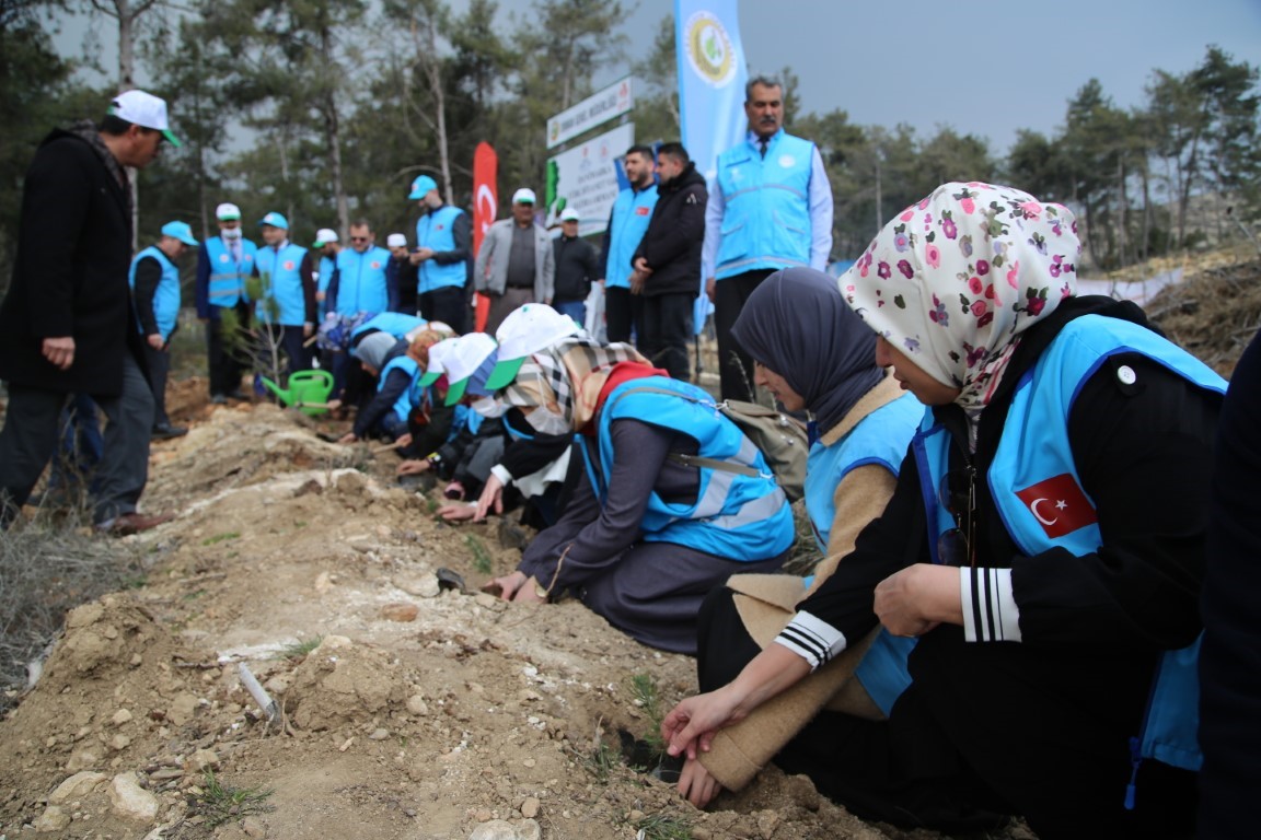 Türkiye Diyanet Vakfı, 2020 yılında orman yangınlarının ardından başlattığı “1