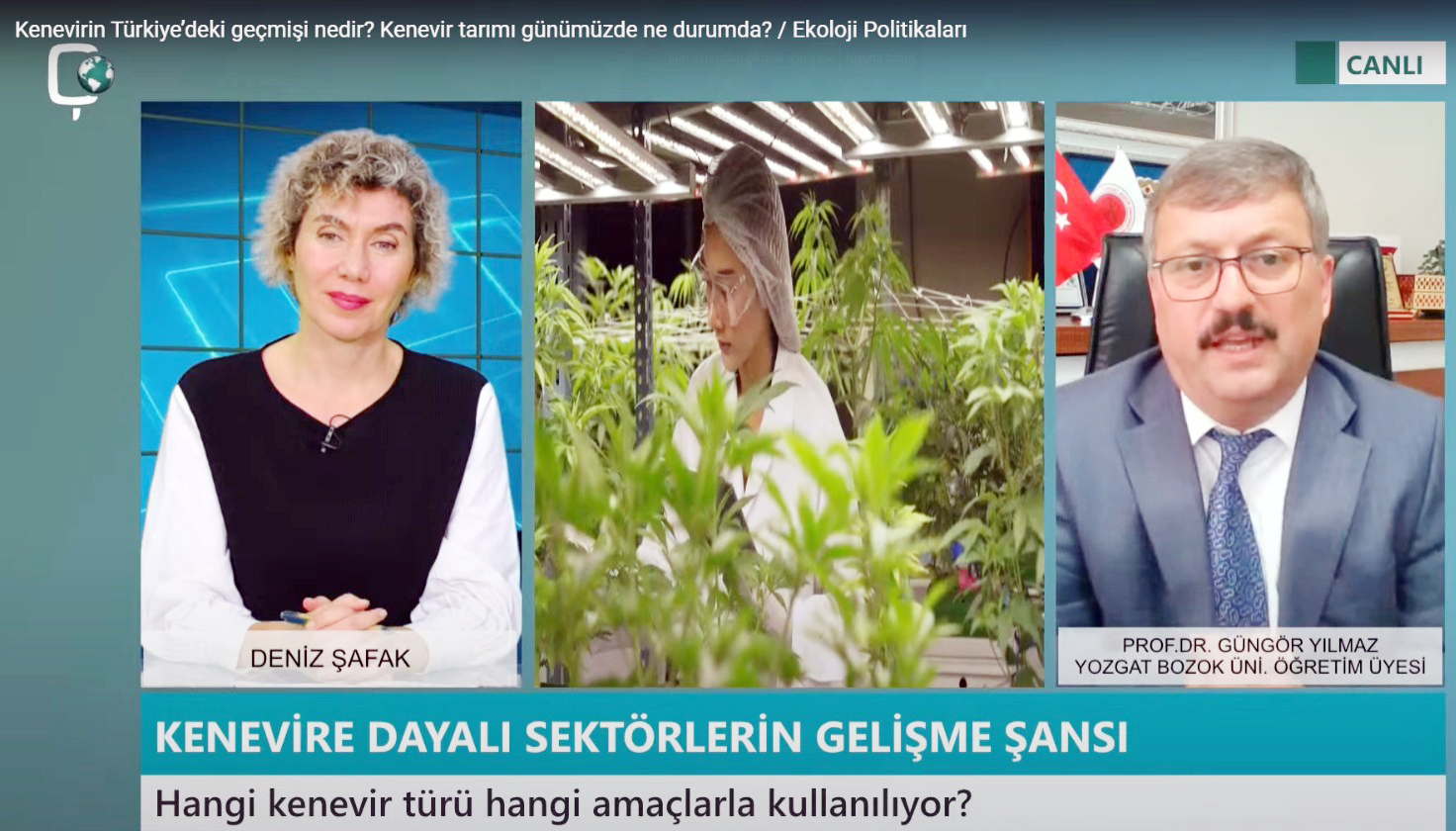 Bozok Üniversitesi Rektör Yardımcısı ve Kenevir Araştırmaları Koordinatörü Prof. Dr.