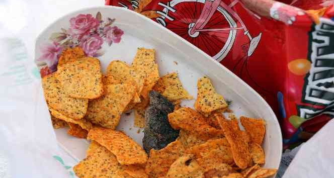 Yozgat'ta bir grup üniversite öğrencisi, doğum günü kutlaması için aldıkları