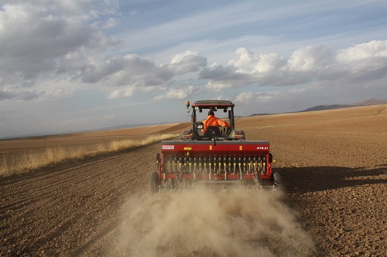 Yozgat İl Tarım ve Orman Müdürlüğü tarafından yerli buğday tohumlukları