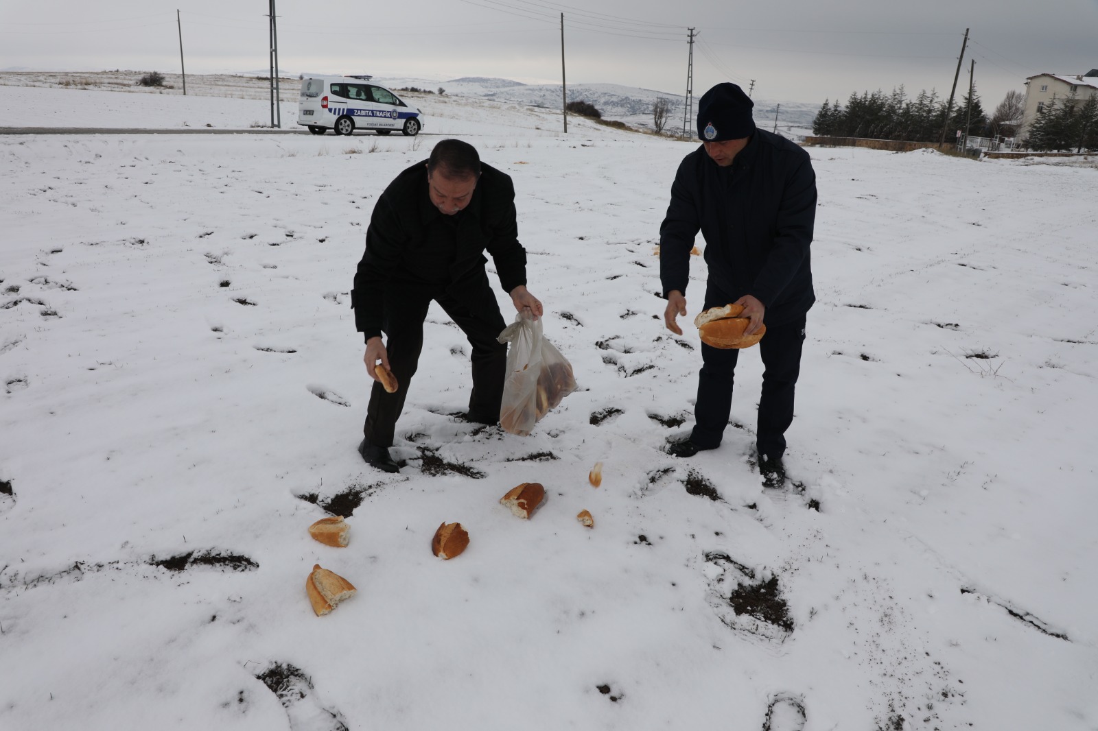 Yozgat Belediyesi Zabıta Müdürlüğü ekipleri, iki gündür etkili olan kar