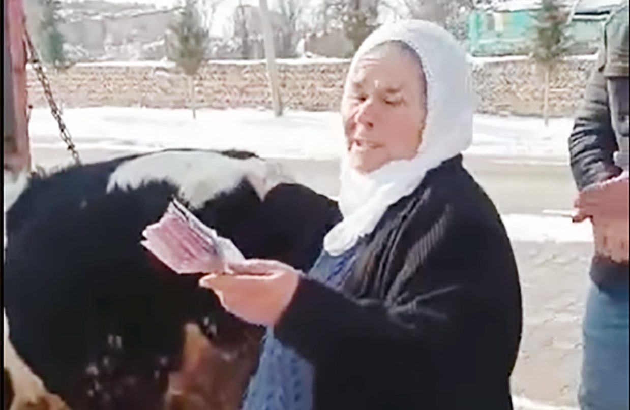 Yozgat’ın Boğazlıyan ilçesine bağlı Ovakent Beldesinde bir vatandaş evinde bulunan