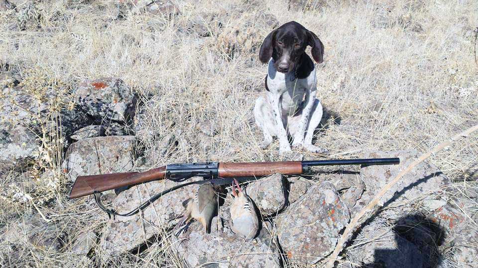 Kahramanmaraş merkezli 10 ilimizi etkileyen büyük deprem felaketi sonrasında Tarım