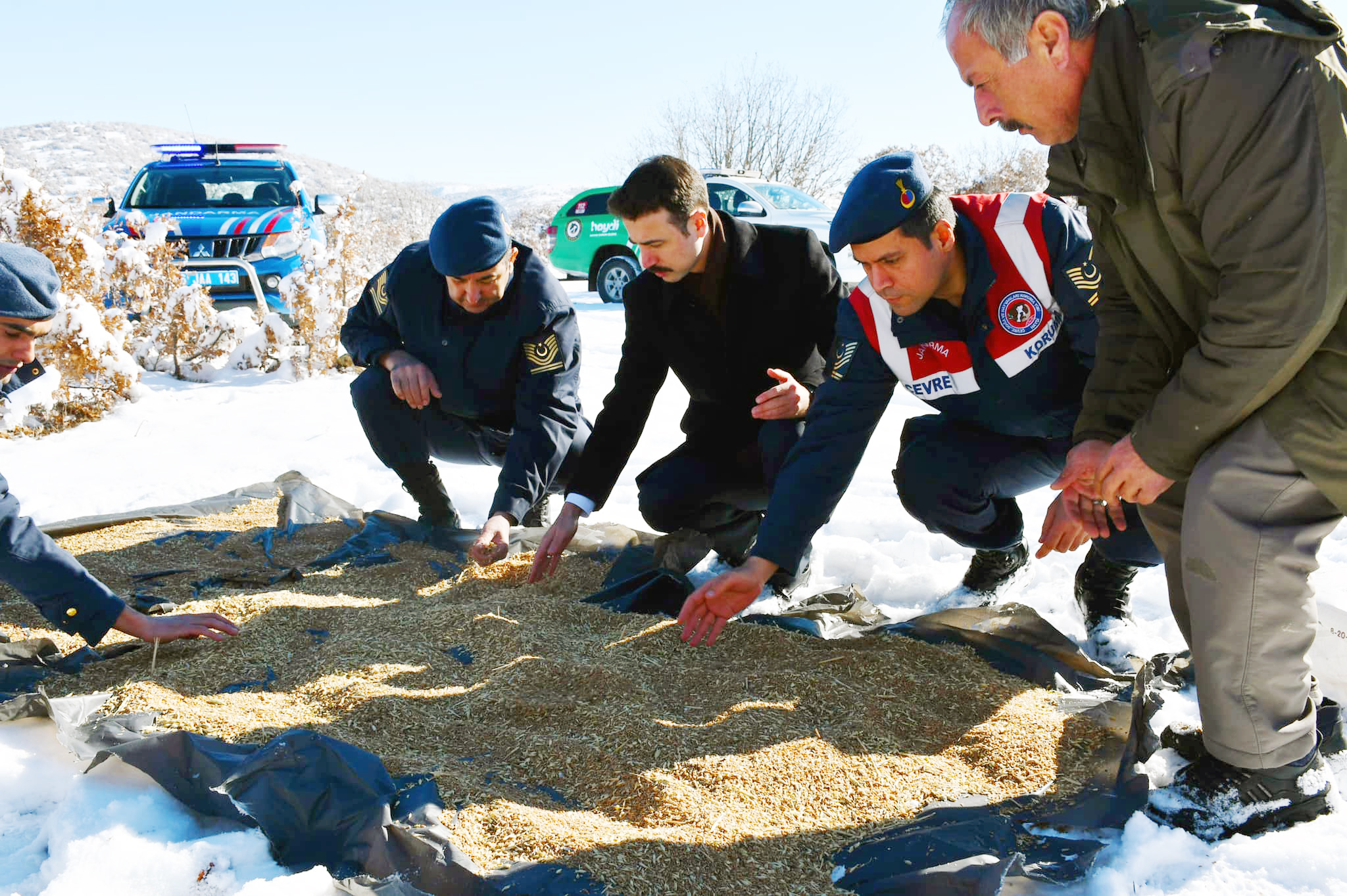 Yozgat’ın Saraykent ilçesinde Kaymakamlık öncülüğünde ‘Kuşlar aç kalmasın’ sloganı ile