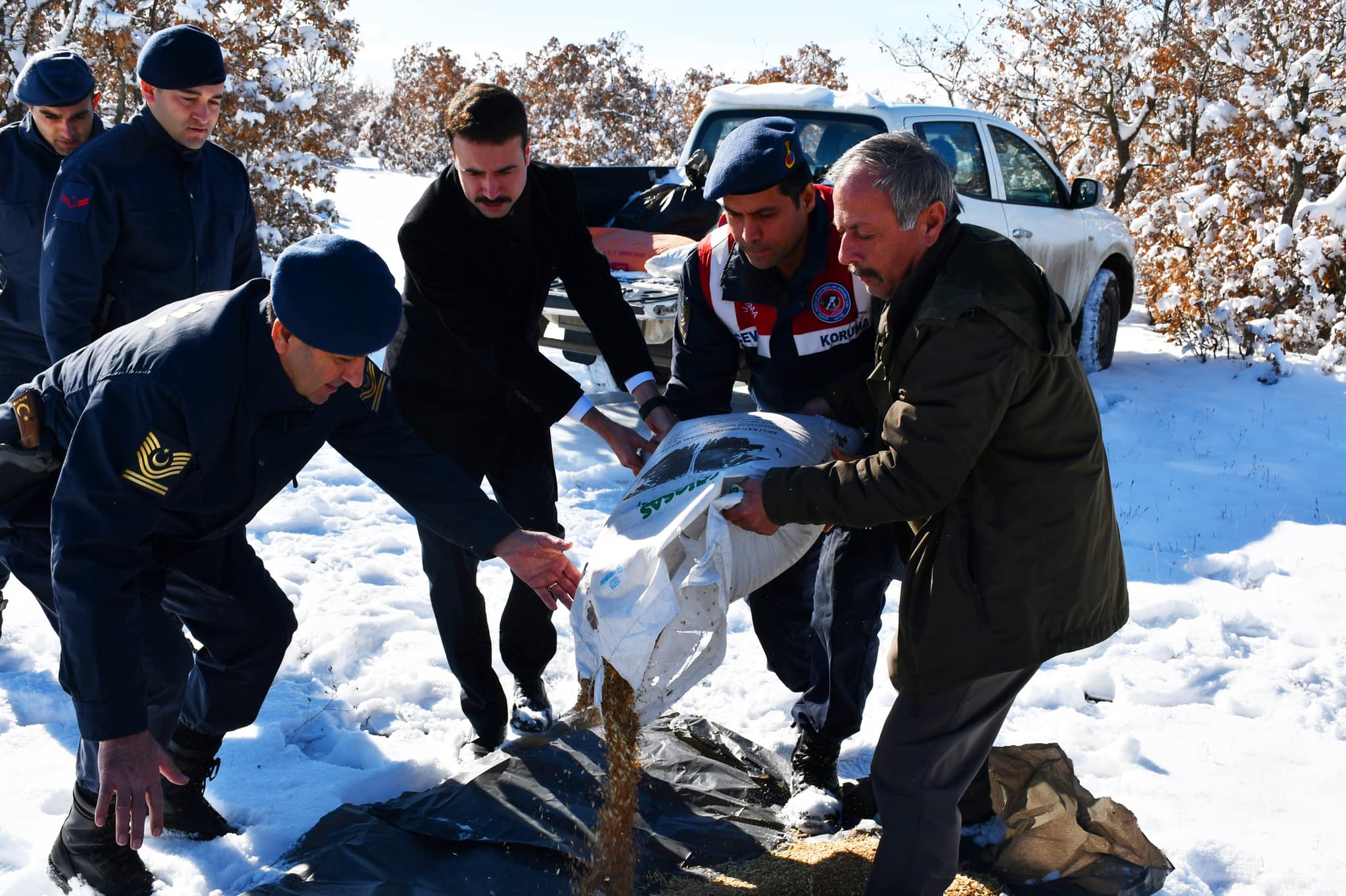 Saraykent Kaymakamı Ali Açıkgöz, doğanın karla kaplanmasından dolayı yiyecek bulmakta