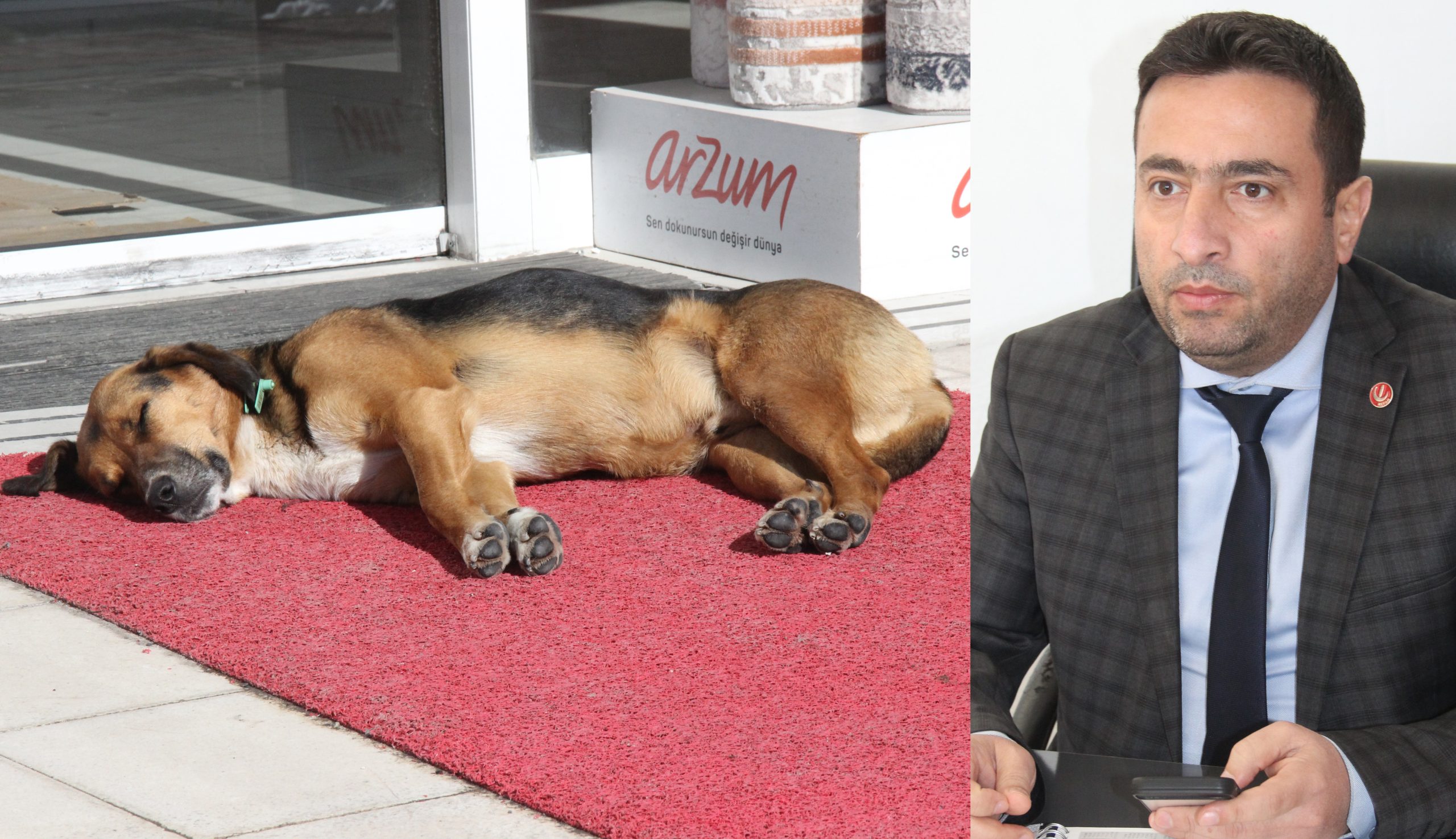 Yeniden Refah Partisi Yozgat İl Başkanı Nihat Kayhan, Van’da köpek