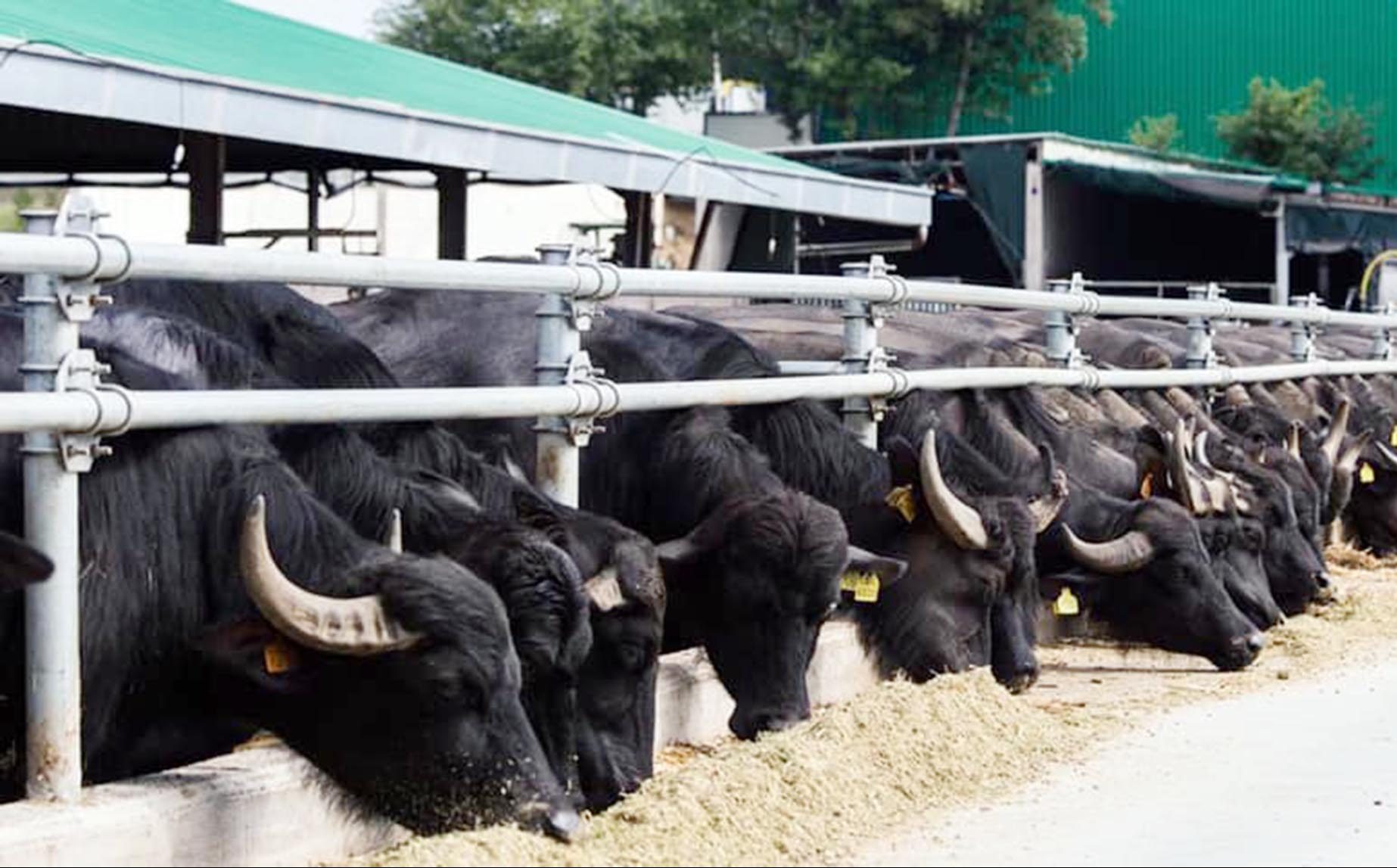 Tarım ve Kırsal Kalkınmayı Destekleme Kurumu, 1 Ocak 2023 tarihinden