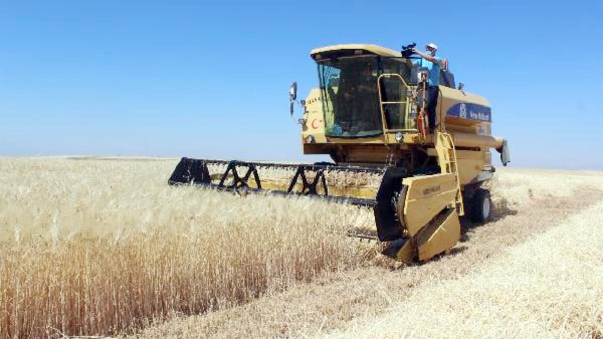 Hububat baklagil dane mısır 1’inci fark ödemesi desteği almaya hak