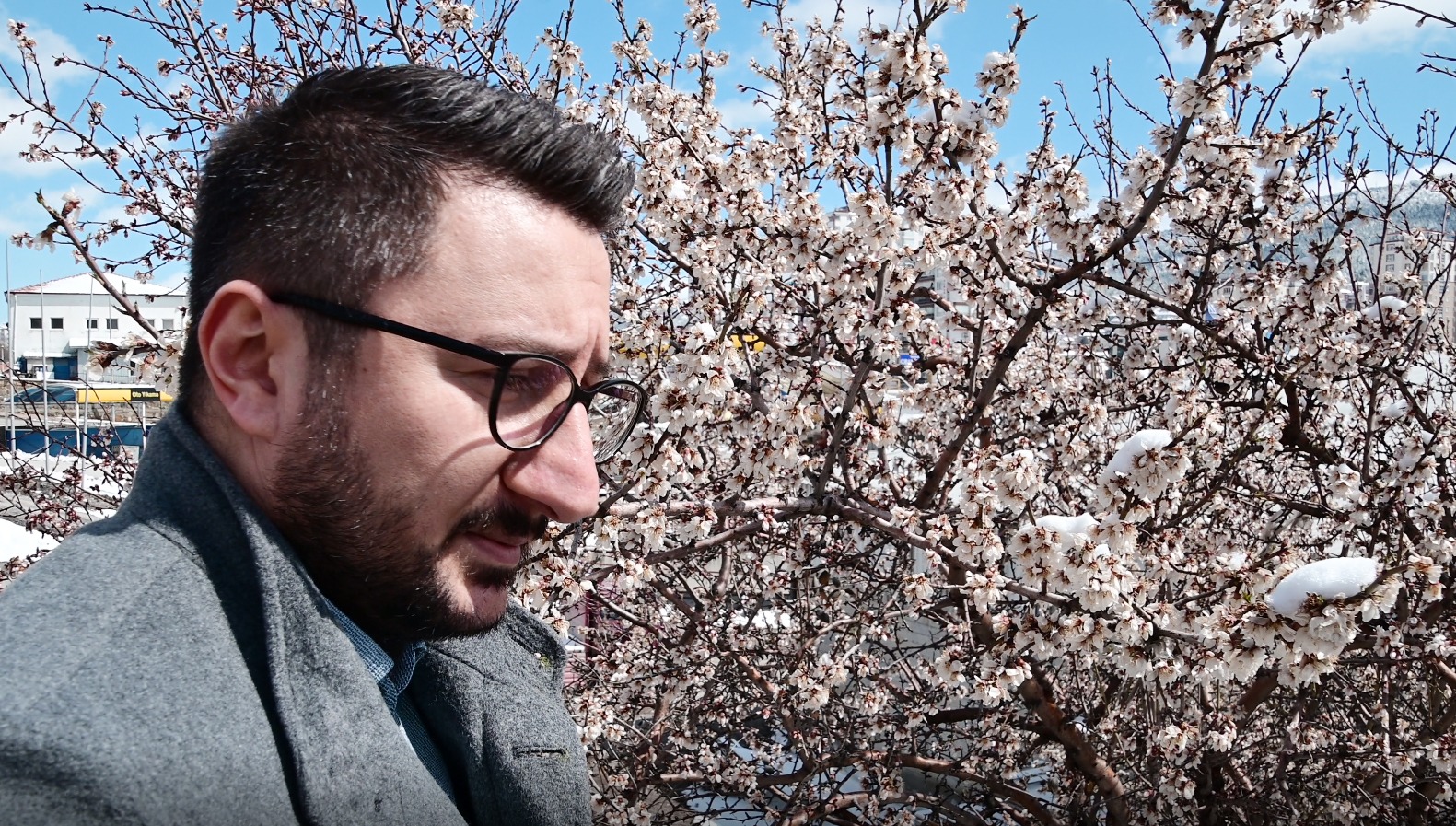 Yozgat’ta iki günden yağan kar yağışı nedeniyle erken çiçek açan