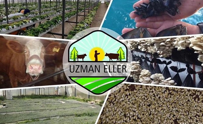 Kırsal kalkınma destekleri kapsamında “Kırsal Kalkınmada Uzman Eller” projeleri desteklenmesi