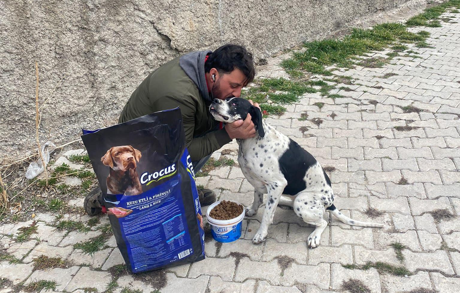 Çayıralan Belediyesi tarafından toplanan sokak hayvanları gerekli tedavileri yapıldıktan sonra