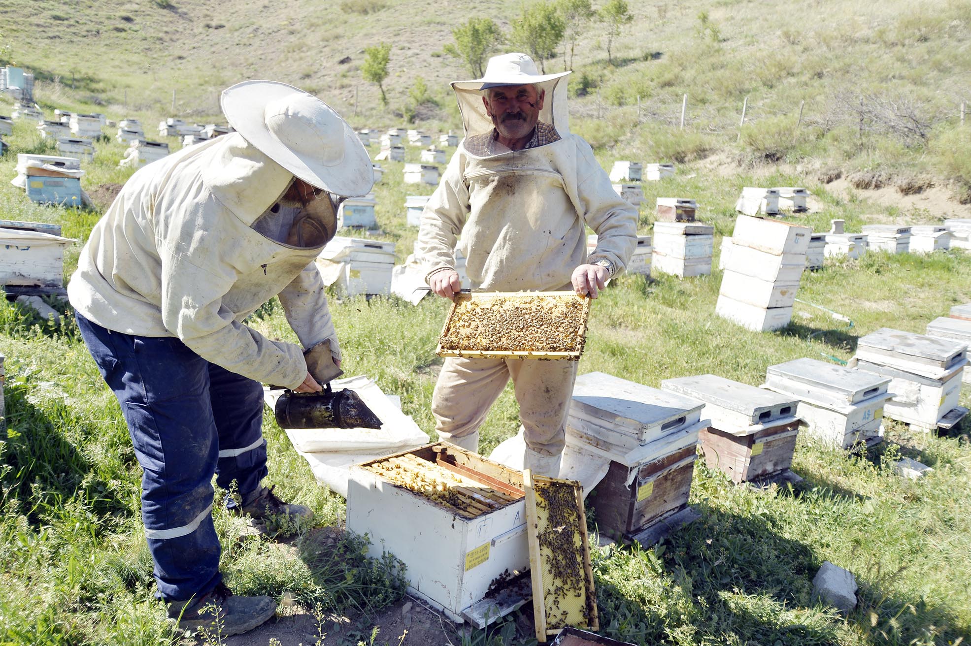 Türkiye’de geçtiğimiz yıl içerisinde Türkiye İstatistik Kurumu (TÜİK) verilerine göre