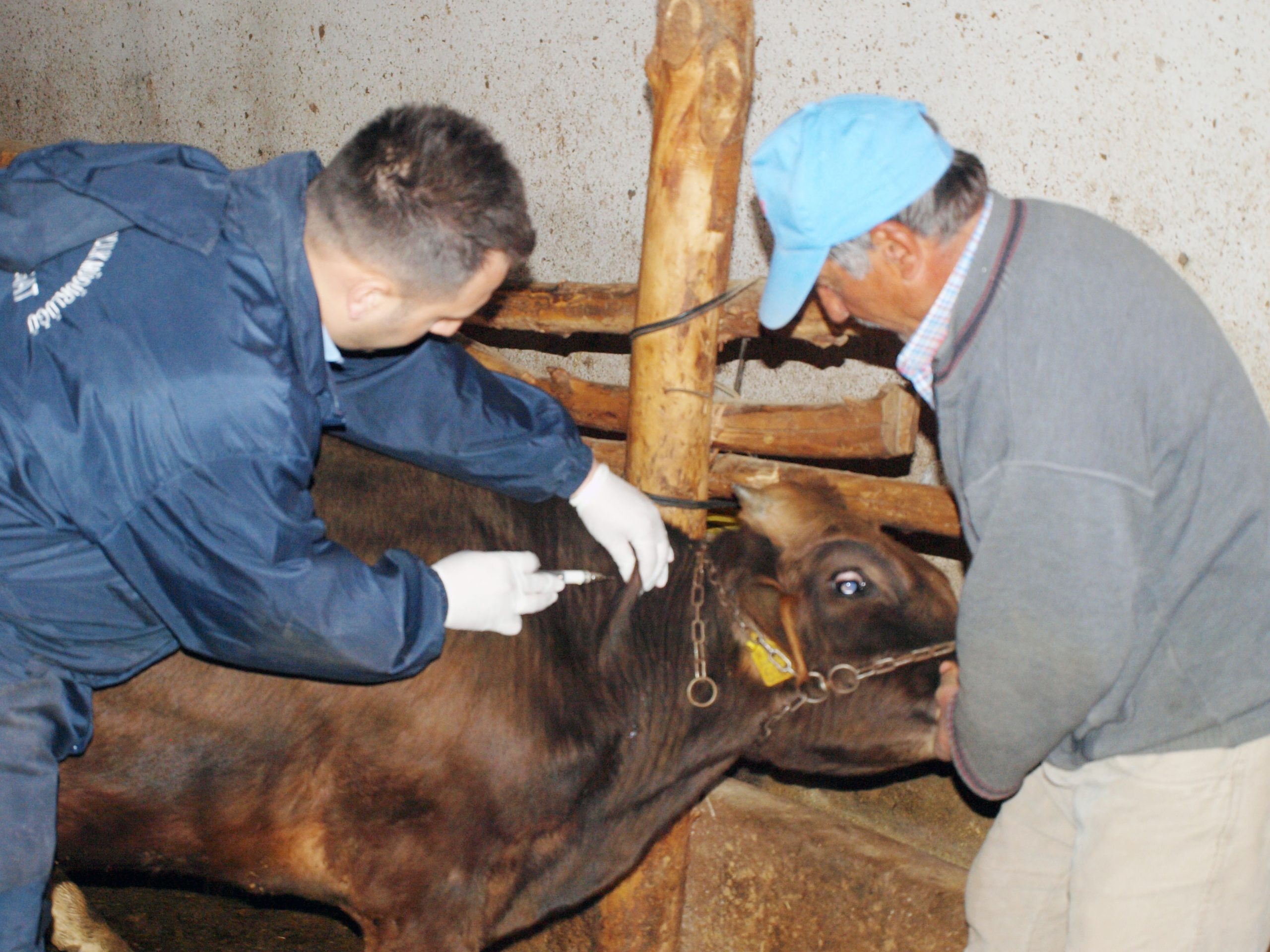 Tarım ve Orman Bakanı Prof. Dr. Vahit Kirişci, gıda güvenliğinin