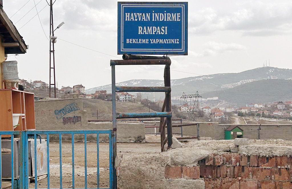 Tarım ve Orman Bakanlığı tarafından ülkemizde görülen şap hastalığı nedeniyle