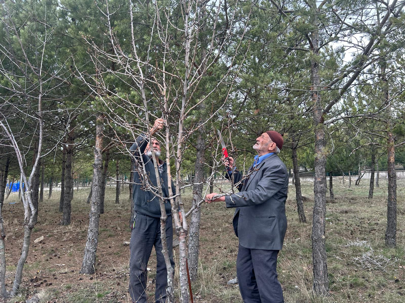 Yozgat Aile ve Sosyal Hizmetler İl Müdürlüğü Alpaslan Türkeş Huzurevi’nde