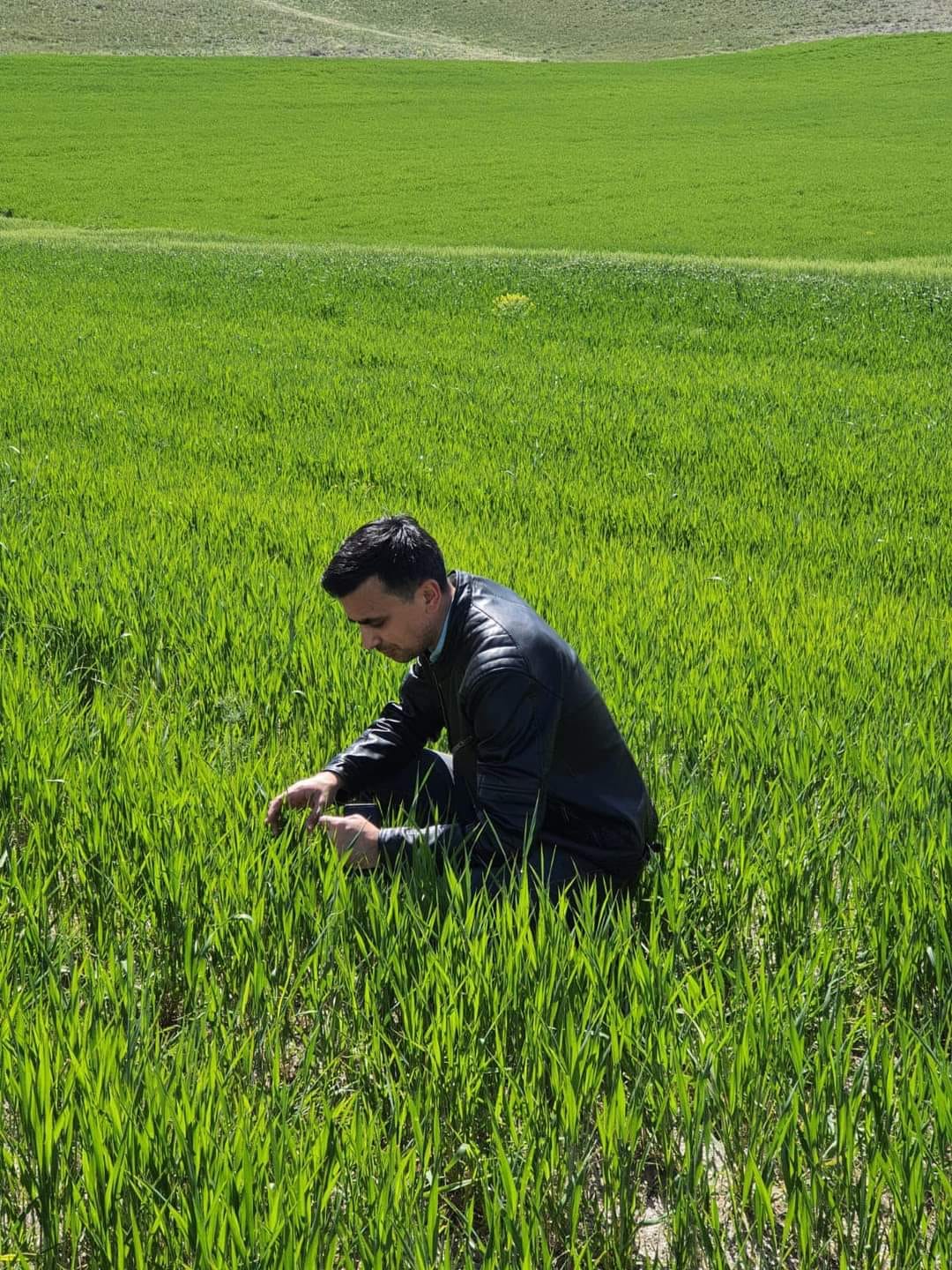 Sorgun İlçe Tarım Müdürlüğü tarafından çiftçilere yönelik Arpa Yaprak lekesi