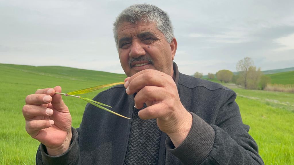 Yozgat Ziraat Odası Başkanı İsmail Açıkgöz, havaların yağışlı geçmesi ve