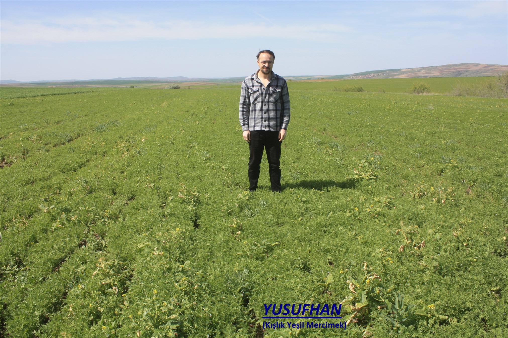Yozgat Tarım ve Orman Müdürlüğü tarafından Sorgun ilçesine bağlı Çiğdemli