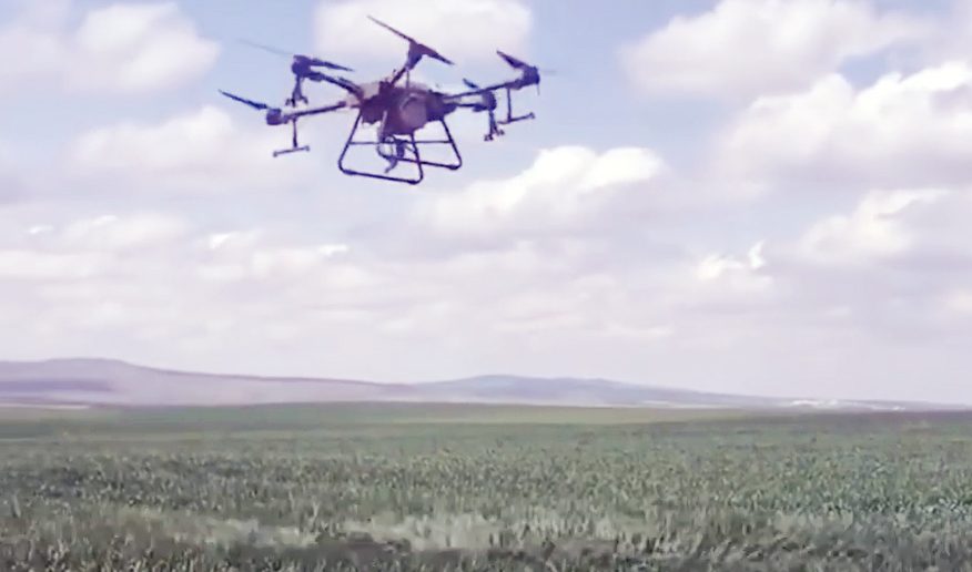 Boğazlıyan Ziraat Odası tarafından ilçede bulunan ekili alanlarda görüle pas