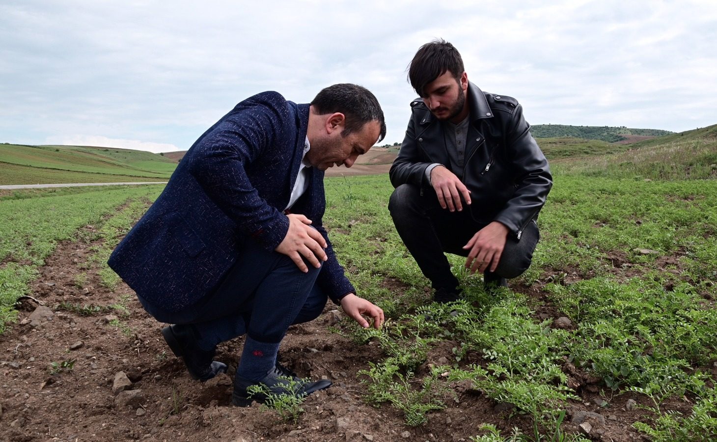 Yozgat Bozok Üniversitesi Ziraat Fakültesi Bitki Koruma Bölümü Fungal (mantar)