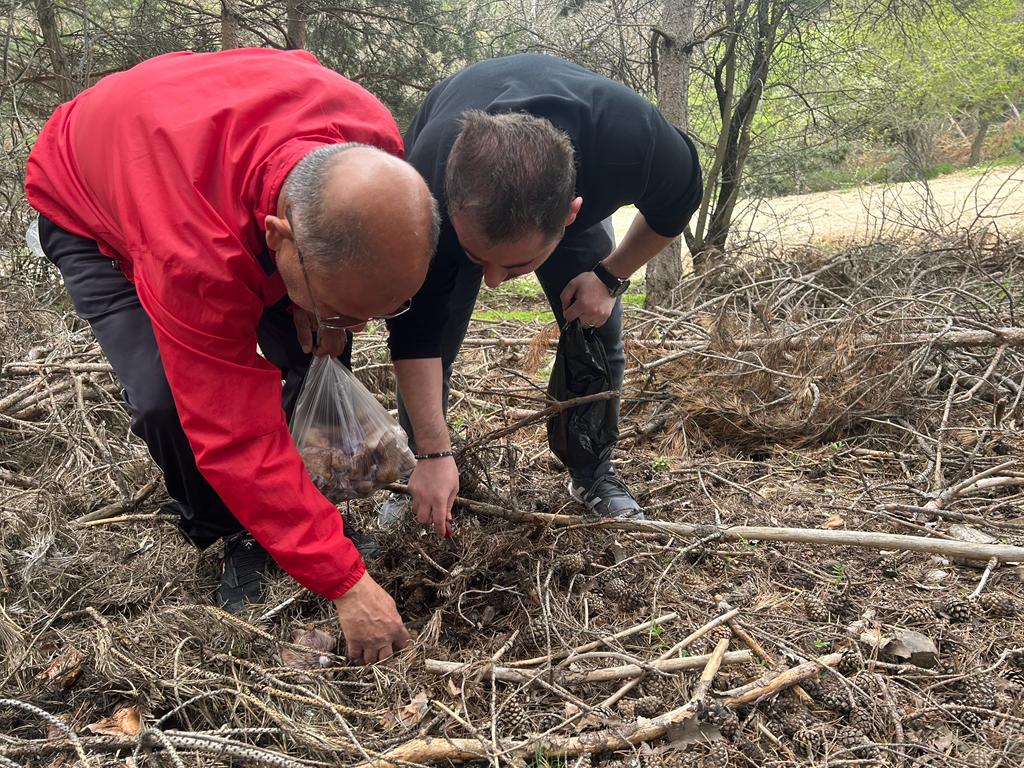 Havaların mevsim normallerinde seyrettiği Yozgat’ta yağışların ardından ormanlık alanlarda çıkan