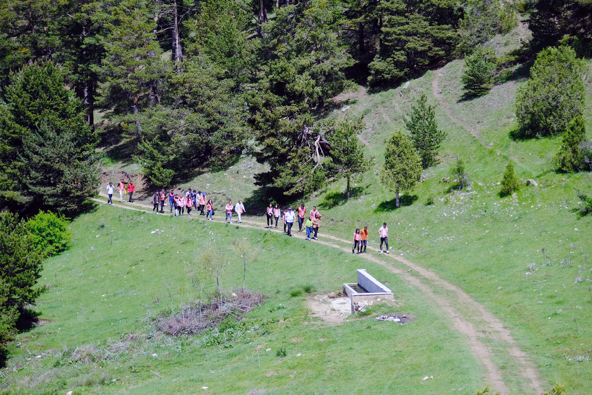 İç Anadolu Bölgesi'nin en büyük ormanını içinde barındıran Yozgat'ın doğaya