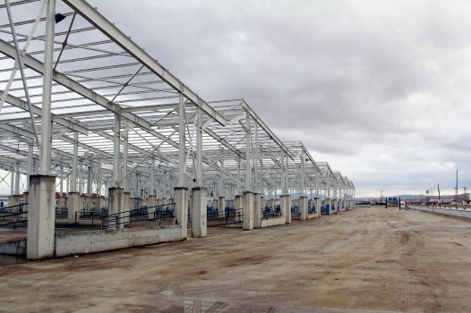 Boğazlıyan ilçesinde canlı hayvan pazarı yarın itibariyle açılırken, şap hastalığının