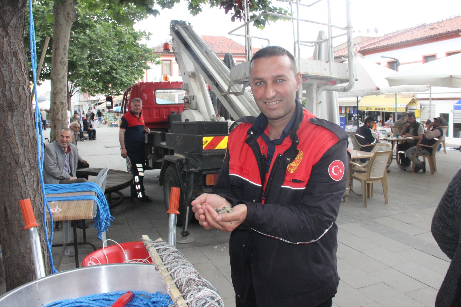 Yozgat’ta ağaçtaki yuvasından yere düşen üveyik yavrusu, itfaiye ekipleri tarafından