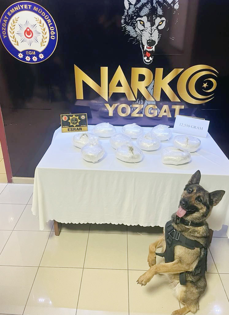 Yozgat İl Emniyet Müdürlüğü tarafından Uyuşturucu ile mücadele kapsamında yapılan