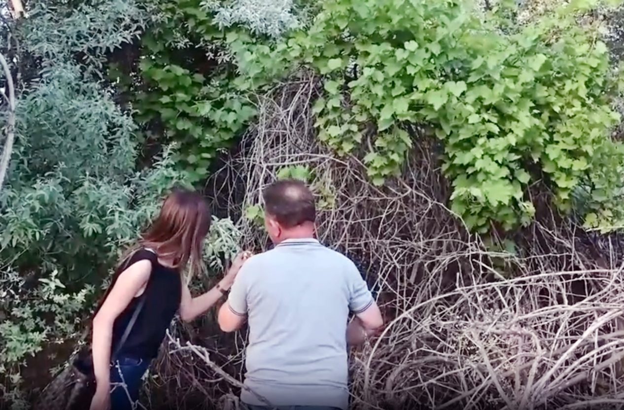 Yozgat’ta 1991 yılında sofralık bağ üzümünü geliştirmek amacıyla hazırlanan çalışmaların