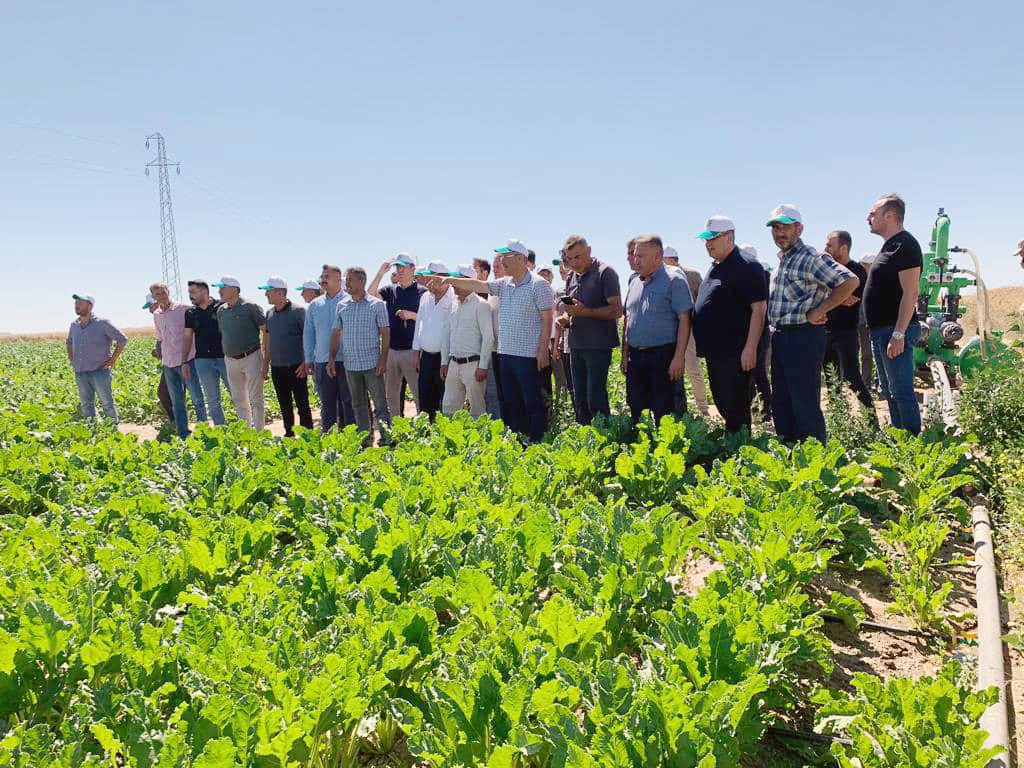 Kayseri Şeker yöneticileri ile Ziraat teşkilatı Boğazlıyan ilçesinde pancar tarlasında