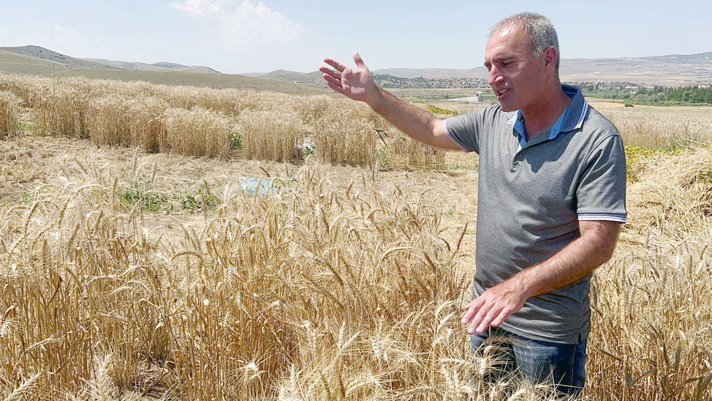 Yozgat Bozok Üniversitesi Yerköy Tarımsal Uygulama ve Araştırma Merkezi Müdürü,