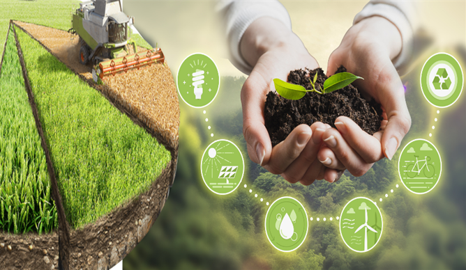 Tarım Bakanlığı tarafından ülke genelinde 78 milyon 825 bin liralık