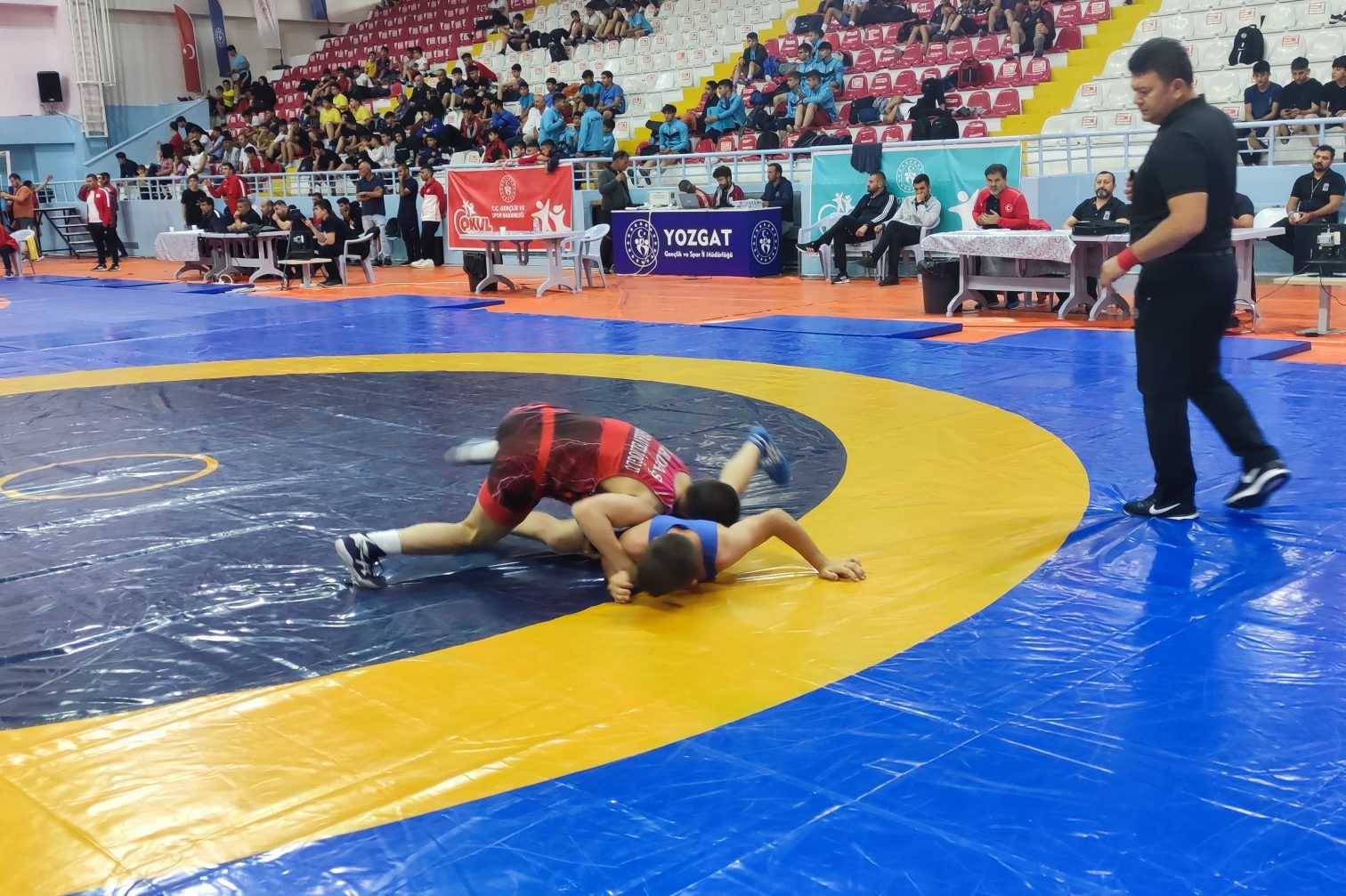 Anadolu Yıldızlar Ligi (ANALİG) Güreş Büyük Minikler kategorisinde Serbest ve