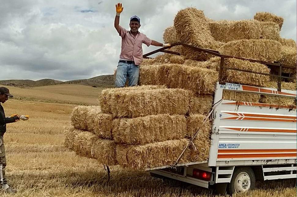 Yozgat’ta hububat hasat döneminin başlamasıyla birlikte bölge çiftçisi, hayvanların yem
